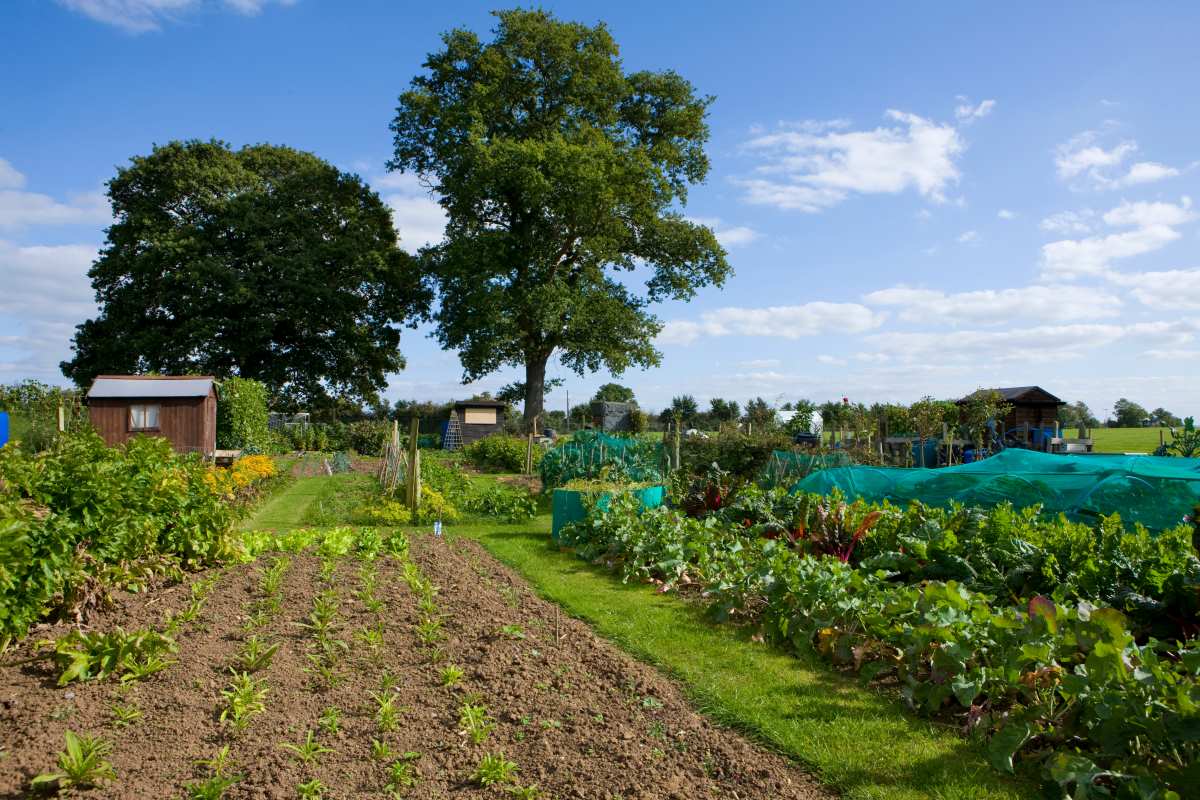 Gartengrundstück kaufen oder pachten in Pforzheim — was pass