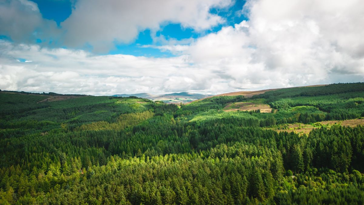Natur entdecken vor der Haustür – So geht's