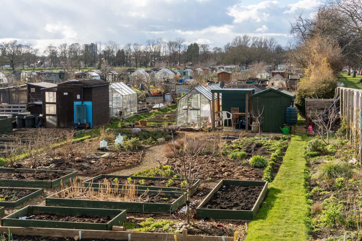 Schrebergarten in Pforzheim: Pacht, Regeln und praktische Ti